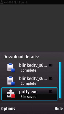 У браузера Symbian есть Download Manager, который может загружать любой файл во внутреннюю или внешнюю память
